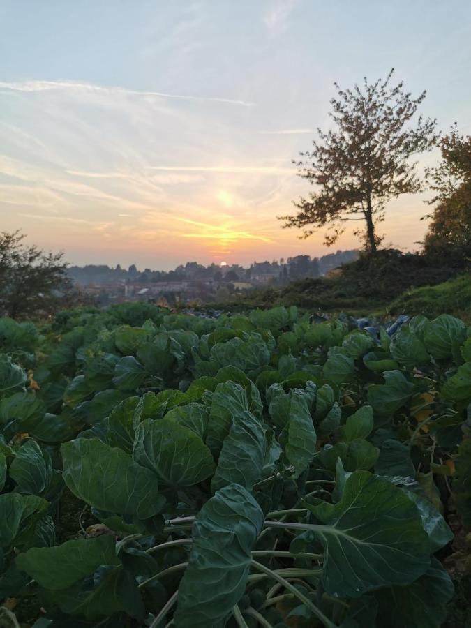 Vigano Agriturismo Teresa Delle Fragole מראה חיצוני תמונה