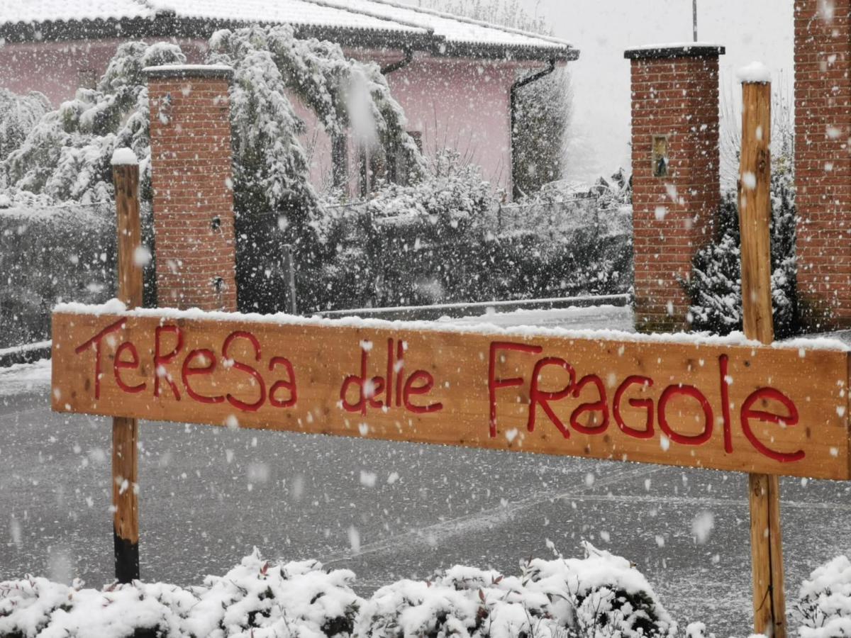 Vigano Agriturismo Teresa Delle Fragole מראה חיצוני תמונה